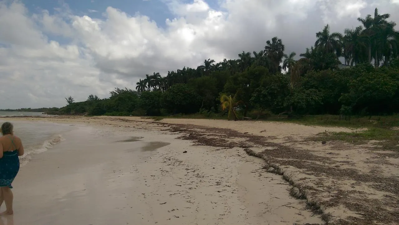 Saltaire Bungalow Rose Hall 10 Mins Hike To Beach Montego Bay 0*,