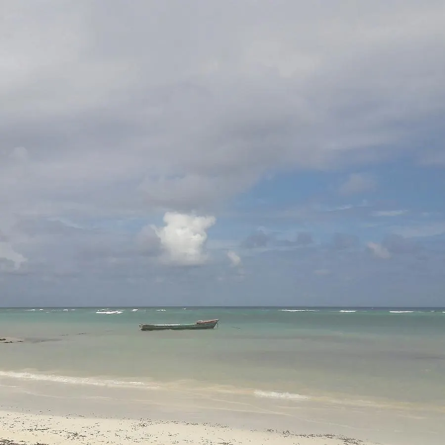 Saltaire Bungalow Rose Hall 10 Mins Hike To Beach Montego Bay Holiday home